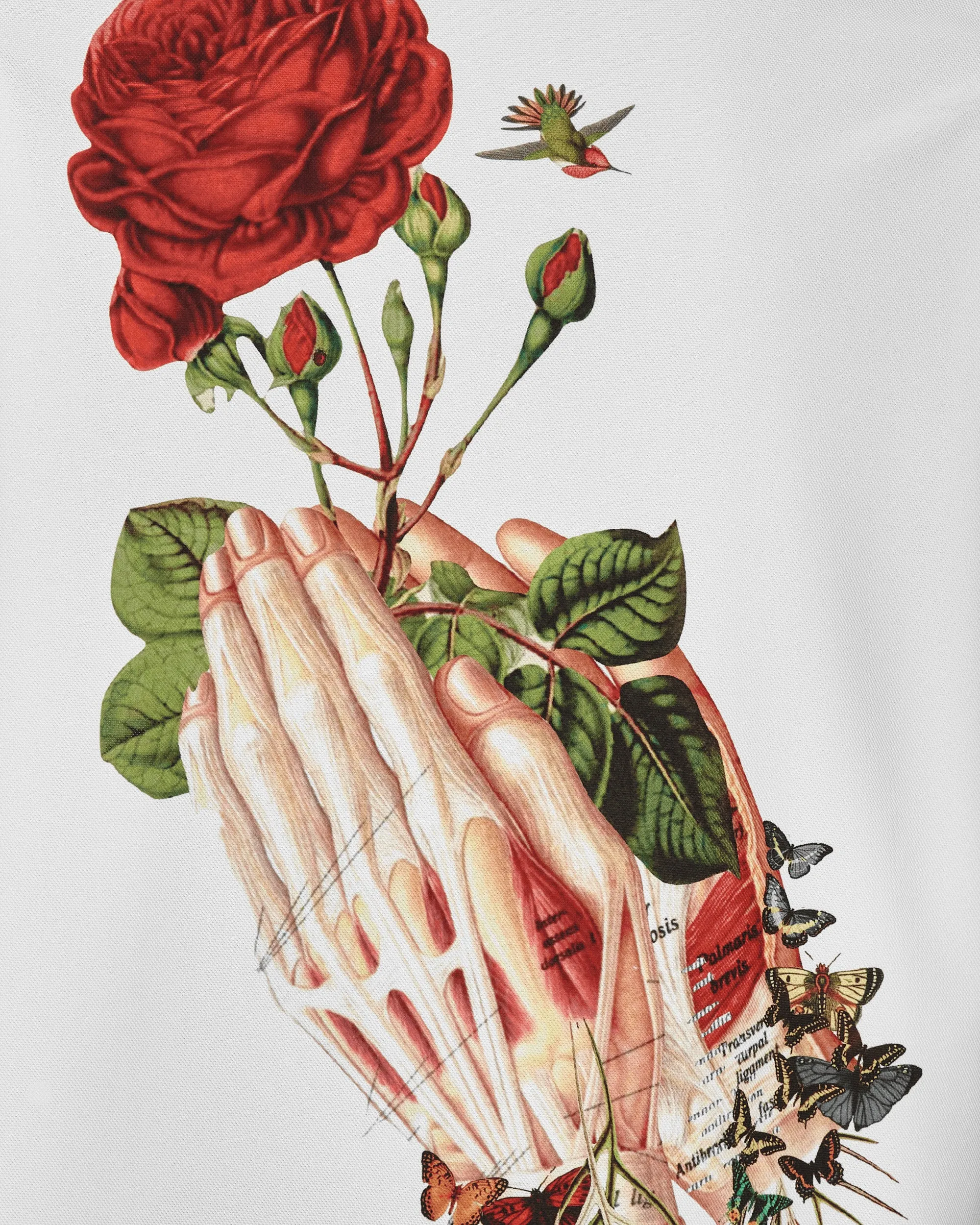 Bedelgeuse Graphic T-Shirt White