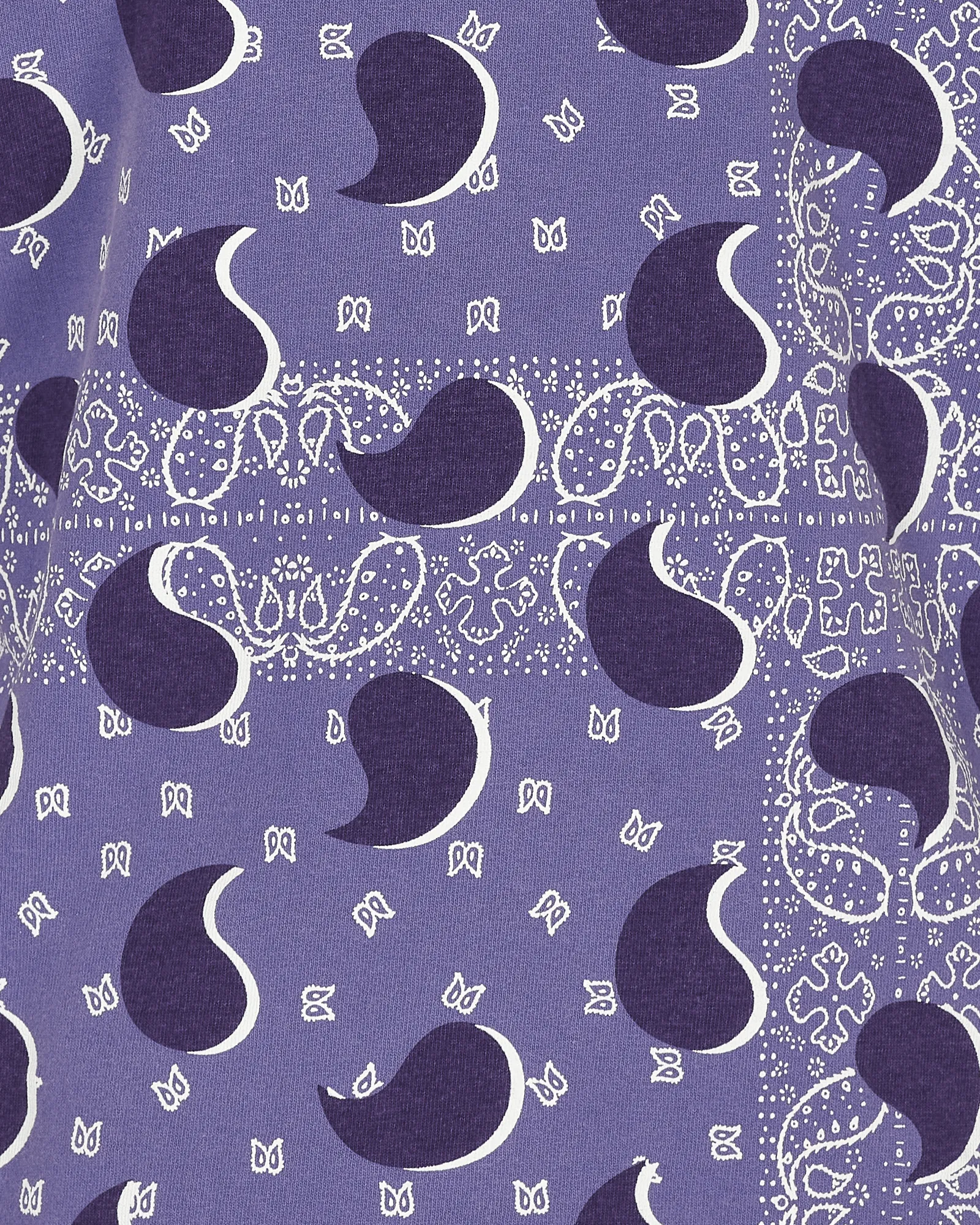 Big Paisley Longsleeve T-Shirt Blue