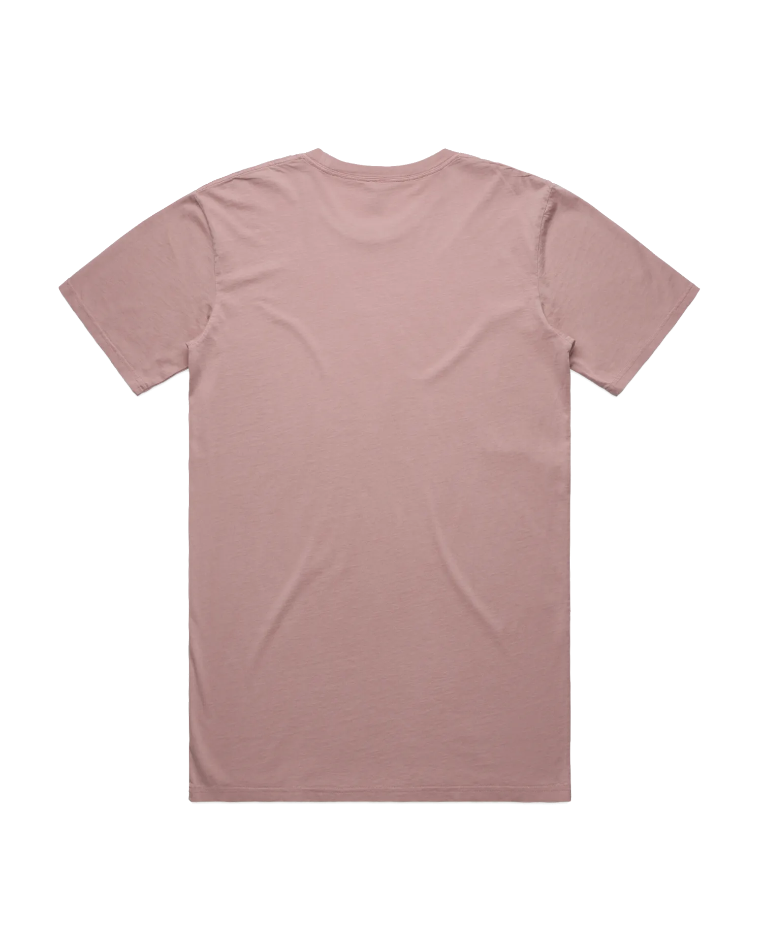 Faded T-Shirt in Faded Rose