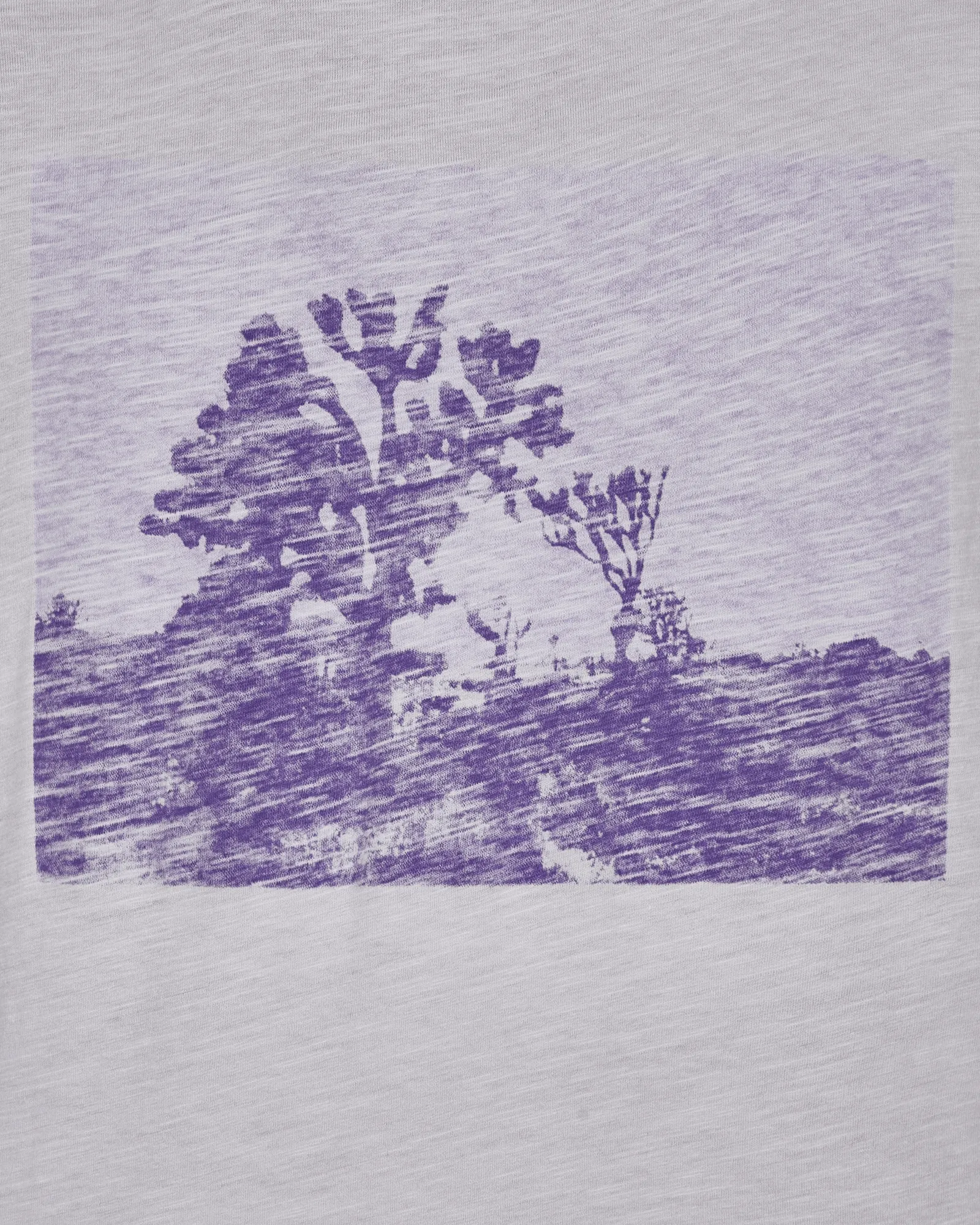 Graphic Longsleeve T-Shirt Purple