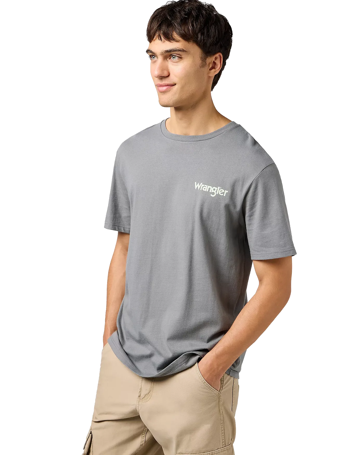 Graphic T-Shirt in Pewter