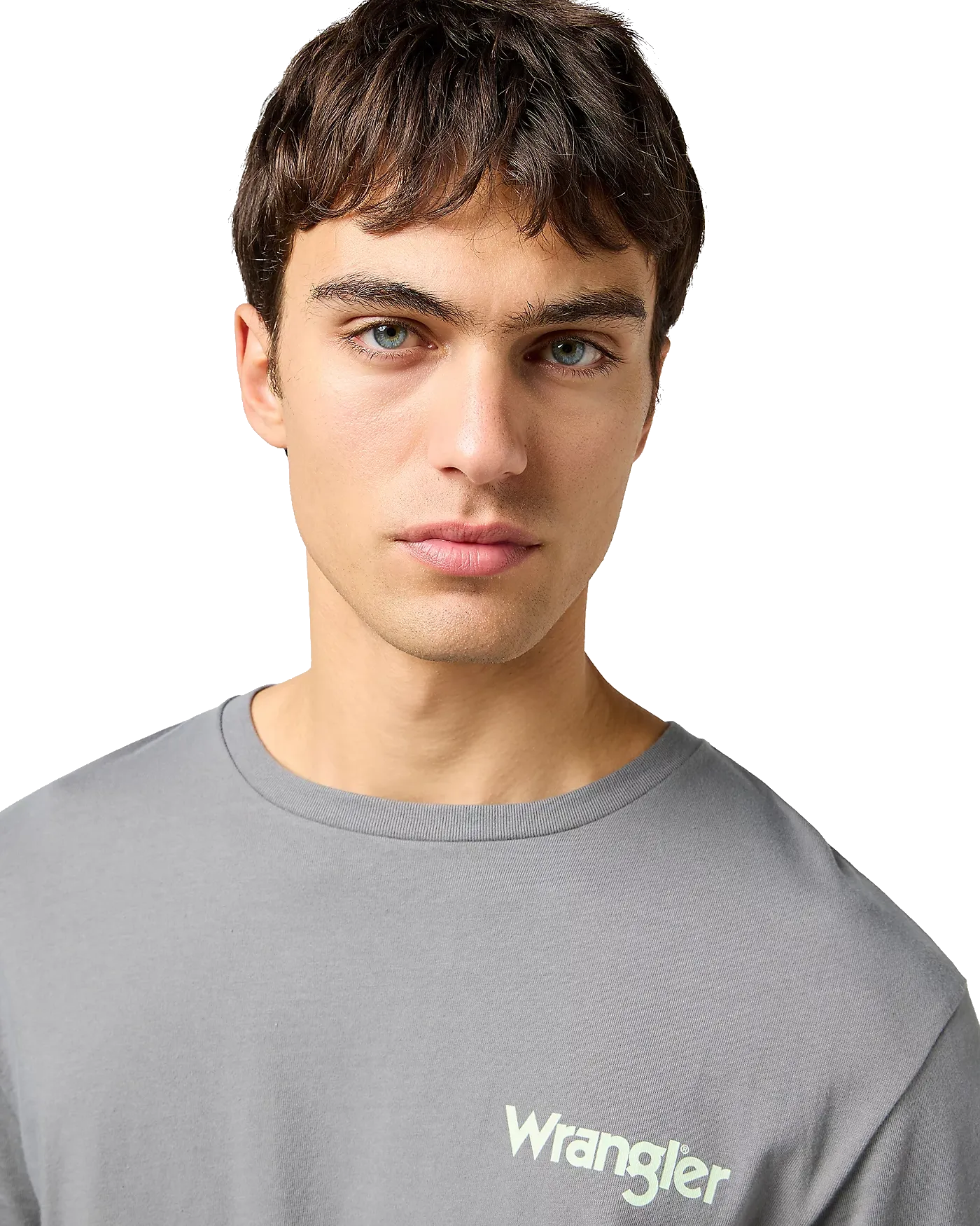 Graphic T-Shirt in Pewter