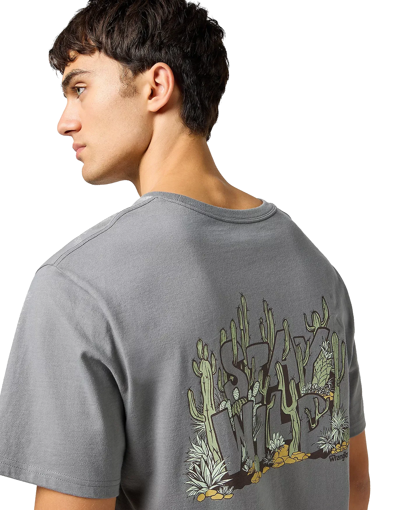 Graphic T-Shirt in Pewter