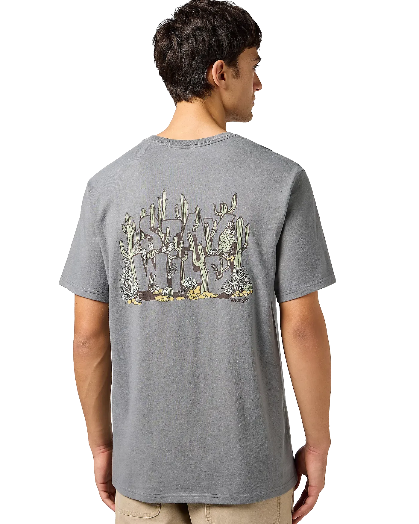 Graphic T-Shirt in Pewter
