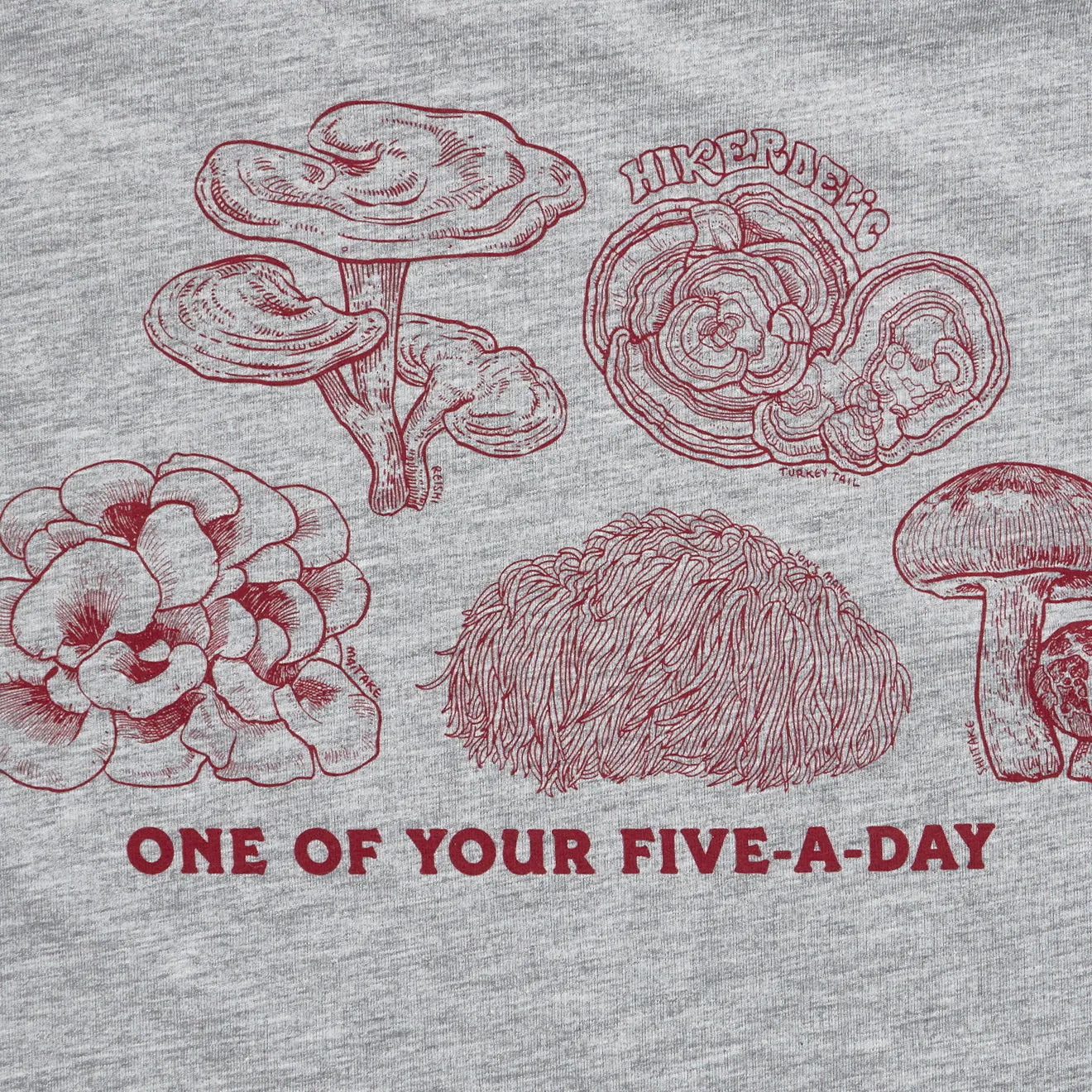 Hikerdelic 5 a Day SS T-Shirt Grey Marl
