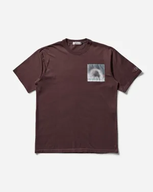 Men's Robert Bosisio T-Shirt Gray Brown