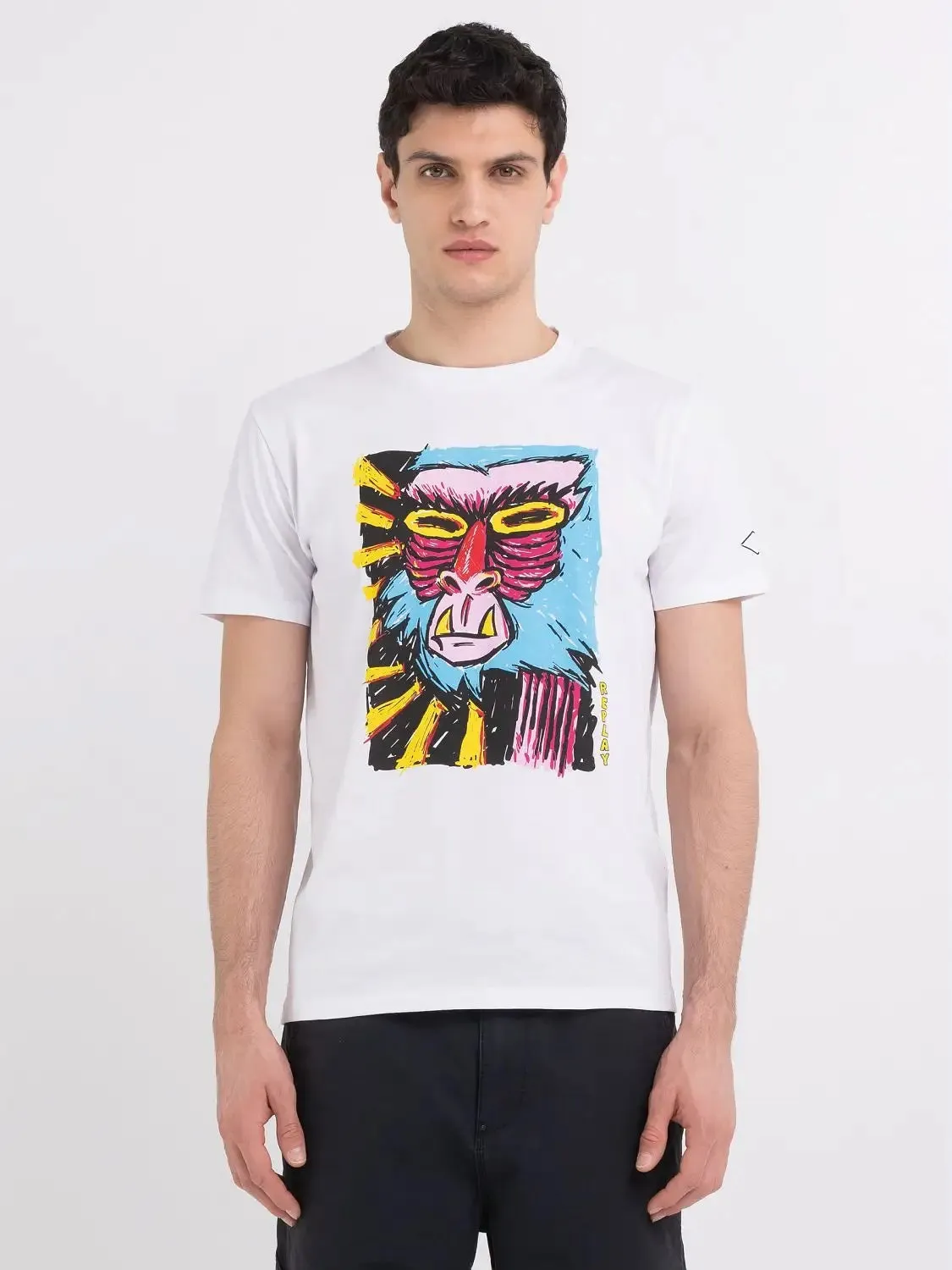 Replay M6642 Graphic Print T-Shirt