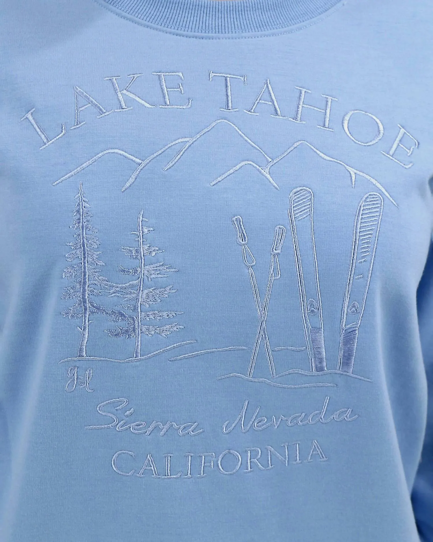 Signature Soft Embroidered Sweatshirt In Light Blue