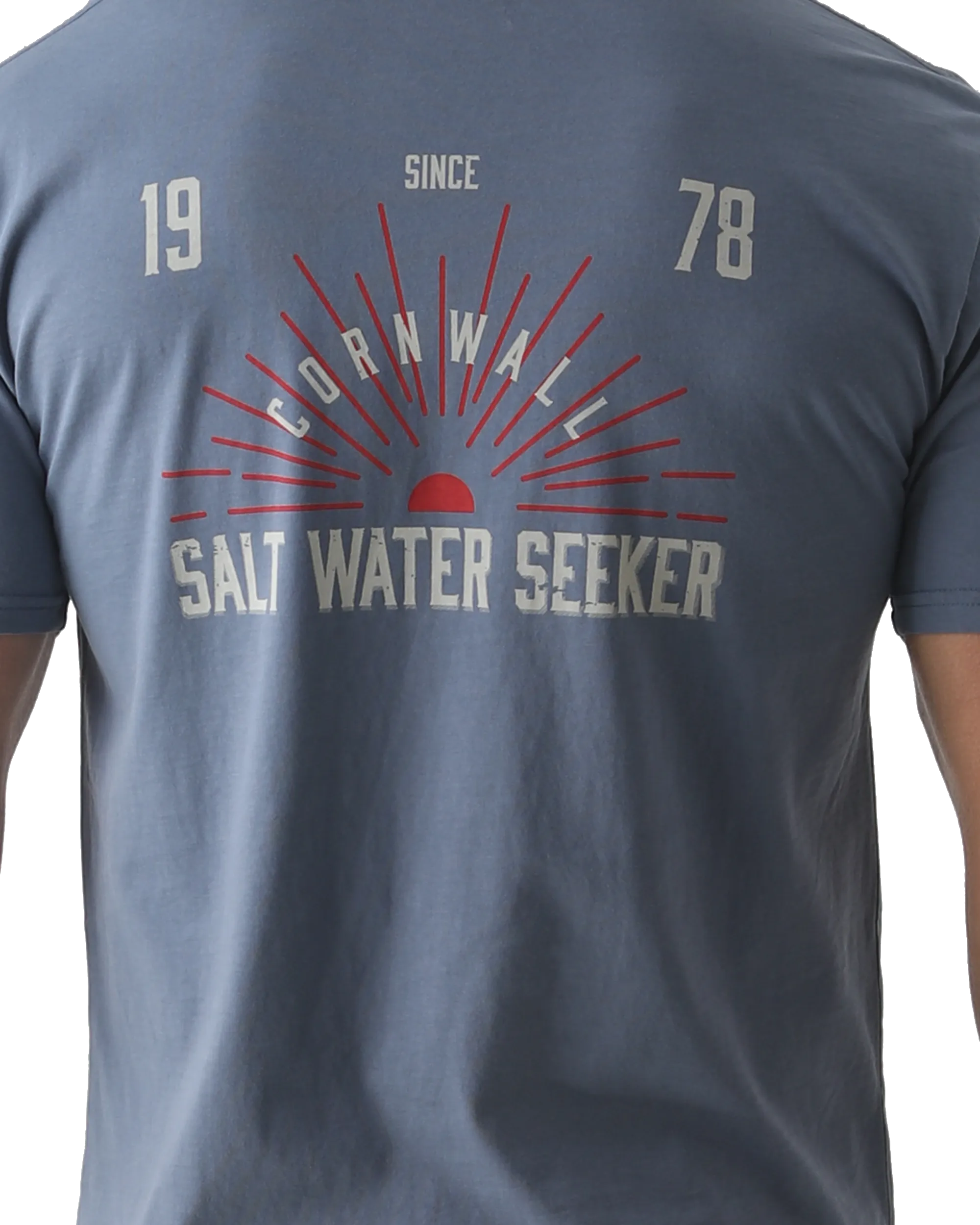 Texas T-Shirt in Faded Blue